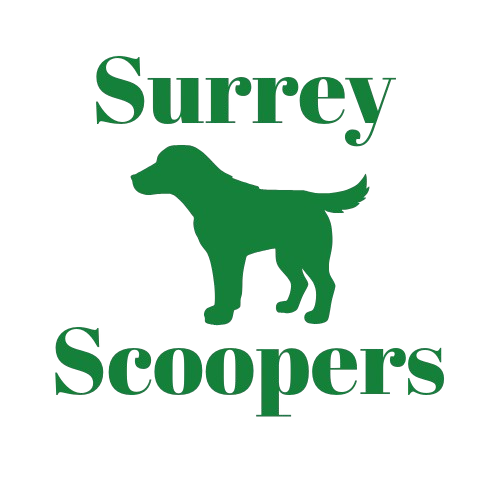 Woking Scoopers
